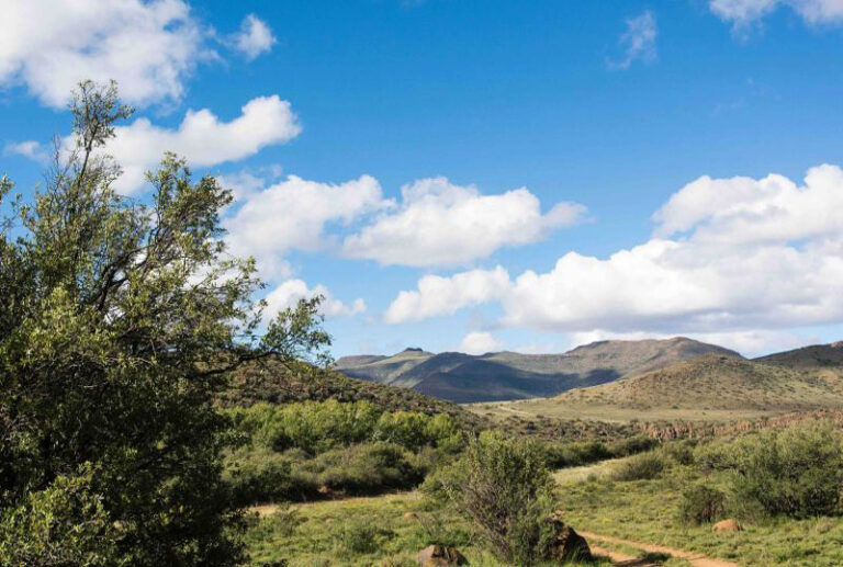 landscape of the karoo blue skies and green mountains bushes