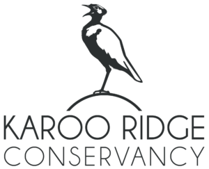 Karoo Ridge Conservancy Black Logo Transparent Background