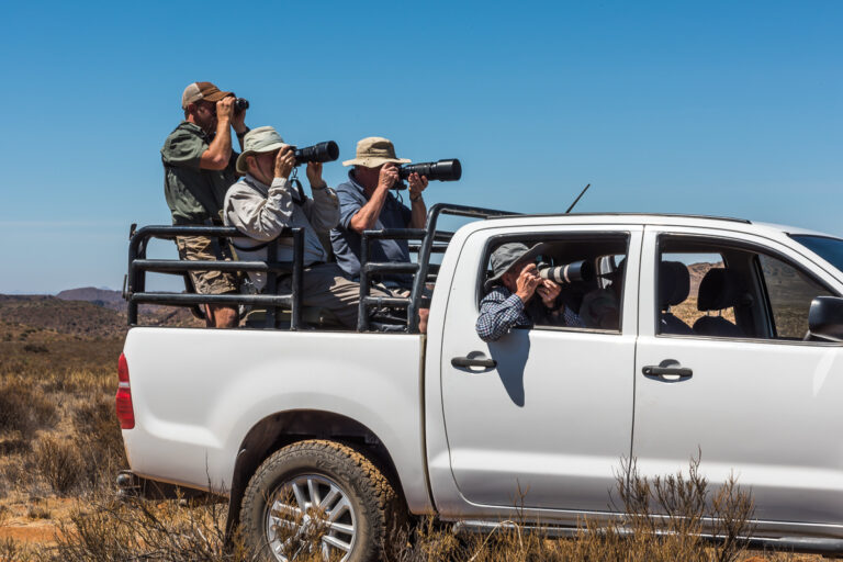 game drive photography experience activity group with camera on open game vehicle taking photos