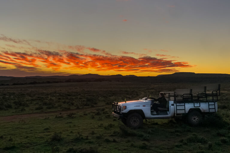 game drive vehicle in karoo sunset night drive